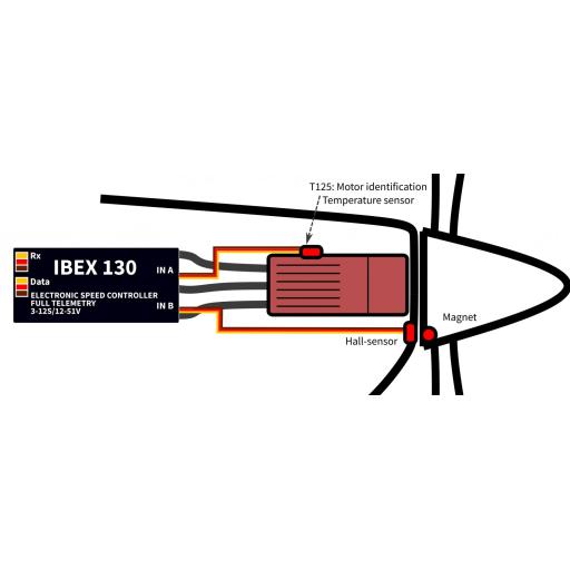 ESC-POSITION2.jpg